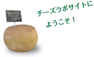 チーズラボサイトにようこそ！